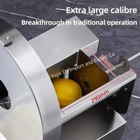 Knoflookchips Wiggen Ui Snijden Zoete Aardappel Snijmachine