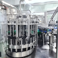 Volautomatische Sap Wijn & Bier Productielijn 3-In-1 Efficiënt Ontwerp Schone Gmp Standaard Ondersteunt Etiketteermachines