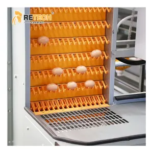 Automatic chicken hens laying cage equipment egg layer for sales battery layer chicken cage