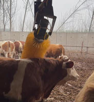 Équipement de confort pour vaches d'élevage laitier, brosse de toilettage pour bétail, brosse automatique de grattage et de massage pour vaches