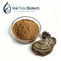Extrait de Ganoderma Applanatum sauvage en poudre 20:1