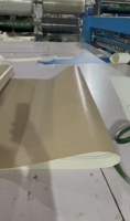 Bande transporteuse sans fin en PTFE + PU brun 16000*1000*1.5 2 bandes de guidage transparentes 6*4-35 ℃ résistant au froid