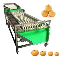 Fabrieksprijs Fruitroller Sorteermachine/Kersen Sorteermachine/Tomaat Sorteermachine