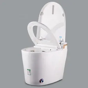 Moderne Keramik boden montierte S-Falle einteilige WC-Toiletten schüssel Verkauf Softcover White Seat Style Badezimmer Smart WC