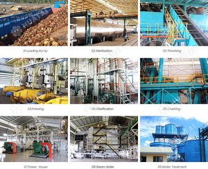 Nouvelle Usine Industrielle de Pressage d'<span class=keywords><strong>Huile</strong></span> de Palme 10T/H à Double Vis Hydraulique pour Grappes de Palmiers, <span class=keywords><strong>Huile</strong></span> de Palme Rouge, <span class=keywords><strong>Huile</strong></span> Végétale Raffinée - Product Image 4