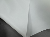 Rouleau mat de toile de tissu non tissé de blanc d'Eco solvant du jet d'encre 150gsm pour l'impression UV