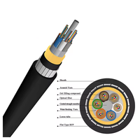 Câble en fibre optique aérien anti-rongeurs, anti-rat, anti-écureuil, en FRP, non métallique, 12, 24, 48, 96 cœurs, pour extérieur, fournisseur de câbles blindés