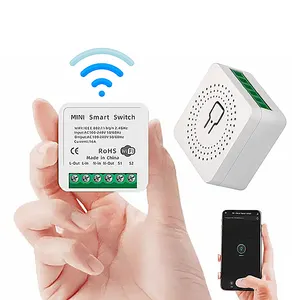 16A 10A WiFi mini akıllı anahtar kesici modülü Google ev Alexa kontrol ışık anahtarı destekler