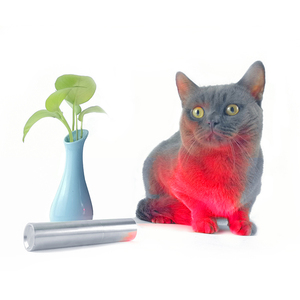 Kinreen thiết bị y tế trở lại dẫn liệu pháp ánh sáng cho con người và động vật - Product Image 4