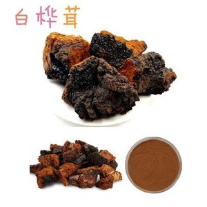 Polvere di Funghi Chaga, Polvere di Funghi Chaga <span class=keywords><strong>Black</strong></span> Gold, Polvere Alimentare Pura Naturale di Alta Qualità - Product Image 2