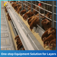 Cages à poules pondeuses de type H, capacité 90 ou 160, pour ferme avicole, personnalisables, à vendre