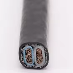 <span class=keywords><strong>Câble</strong></span> d'alimentation TFL492325 RRU 2*<span class=keywords><strong>10mm2</strong></span> 2*8AWG pour station de base <span class=keywords><strong>3G</strong></span> 4G 5G - Product Image 6