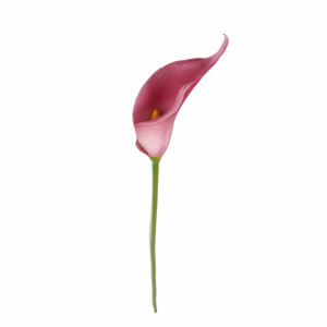 TALLO FLOR CALLA LILY DE 19 ", TALLO <span class=keywords><strong>VERDE</strong></span> [EF11082] - Product Image 3