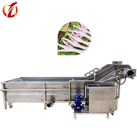 Surfing Bubble Groentewasmachine Continue fruitwasmachine voor groenteverwerkingslijn