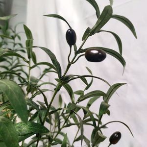 Vente en Gros de Plantes Artificielles Presque Naturelles d'Intérieur Meilleur Faux <span class=keywords><strong>Olivier</strong></span> pour Décoration Fabricant de Plantes Artificielles - Product Image 4