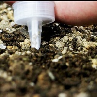 Ubest Mini Épandeur de Graines Transparent en Plastique 3x12cm Léger et Original pour la Plantation à Domicile et au Jardin