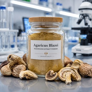 Poudre d'Agaricus Blazei Naturelle, Ratio 10:1, Prix de Gros, Poudre de Champignon Agaricus Pure, Soutien Immunitaire - Product Image 4