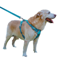 Harnais pour chien double couche en Oxford, anti-traction, réglable, respirant, en maille, avec sangles réfléchissantes pour la promenade des chiens de petite et moyenne taille