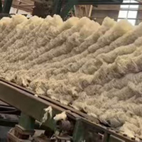 Système hydroponique Shengding, cubes de culture en coton minéral et bouchons intelligents pour la germination des semis