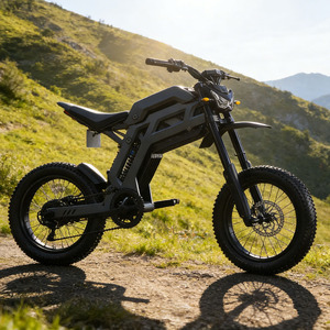 NUEVA Motocicleta Eléctrica QJ73 para Adultos, 2000W, Alta Velocidad, Largo Alcance, Deportiva, Todoterreno - Product Image 1