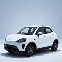 Nouveau mini SUV électrique élégant 3000W, voiture électrique basse vitesse, vitesse maximale 45 km/h, véhicule électrique domestique pour l'Afrique et l'Asie du Sud-Est