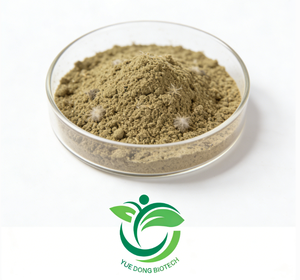 Trichoderma Longibrachiatum - Product Image 2