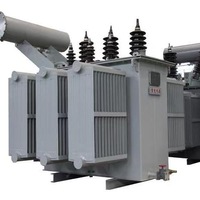 Transformateur immergé dans l'huile S20-M 315 kVA, bobinage en cuivre de haute qualité, noyau CRGO, faible perte, fabriqué en Chine pour postes de distribution