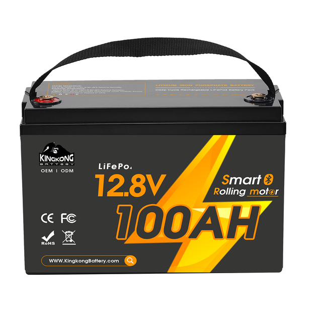 OEM Customized Electric Boat LiFePO4 Lithium Ion Battery Pack 12V-60V for Boat/RV/ Camper/Car-8000 Cycles lifepo4 battery200ah