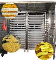 Commerciële dubbele lade fruit- en groentedroger met elektrische verwarming, PLC-besturing, voor het drogen van kruiden en specerijen.