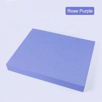 Sansd vente chaude sport gymnastique exercice haute densité Protection de l'environnement doux équilibre pédale Pad TPE mousse équilibre Pad