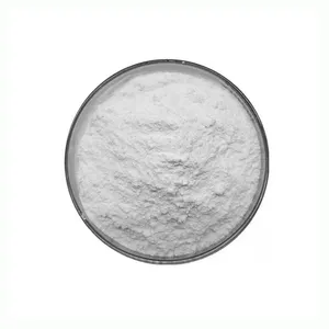 厂家Suuply 100% 纯水溶性菊粉食品粉菊粉厂家价格菊粉根提取物粉
