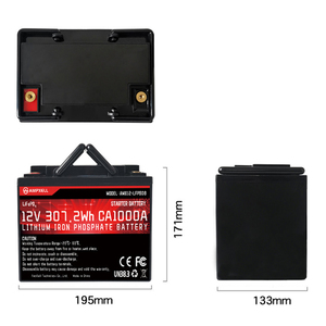 แบตเตอรี่ AMPXELL OEM ODM 3.2v เซลล์แบตเตอรี่ลิเธียม CCA600 24Ah แบตเตอรี่สตาร์ท-สต็อปสำหรับรถยนต์ AMX12-240FQ 12V แบบ Deep Cycle ชาร์จได้ - Product Image 4