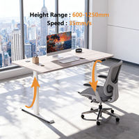 Vente directe d'usine, table de bureau réglable en hauteur à double moteur, bureau debout électrique