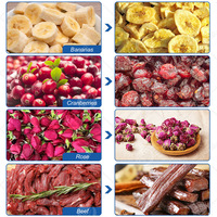 ORME Fruit Mango Chip Druiven Laurierblad Droogmachine Copra Peper Droogmachine Droogoven voor Vis