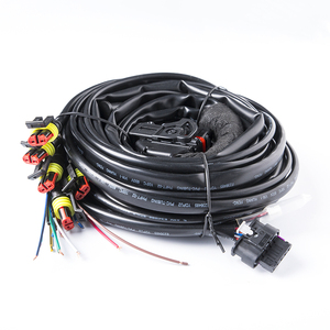 MP48 Lovato CNG <span class=keywords><strong>4</strong></span> Cylindres Conversion Cng lpg Kit Contrôle Moteur pour Voitures ECU Kit - Product Image 6