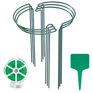 Support végétal enduit de poudre verte croître à travers la <span class=keywords><strong>grille</strong></span> - Product Image 4