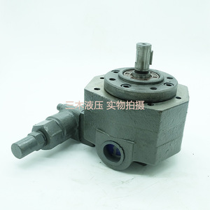 Pompe à huile à engrenages cycloïdaux Bb B25Y B16Y B32Y B40Y avec valve, pompe rotative hydraulique industrielle pour lubrifiant, corps en fonte - Product Image 1