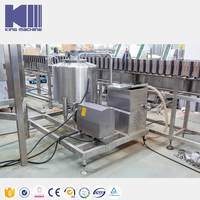 Machines Industrielles de Fabrication de Jus Ligne Complète de Traitement et de Remplissage de Jus de Mangue