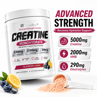 Créatine en poudre de force avancée pour la récupération musculaire et l'hydratation – Complément de fitness formule personnalisée – Vente en gros usine OEM ODM