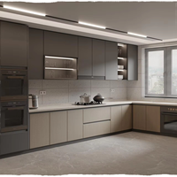 Solutions de cuisine avec portes en PVC et carcase en panneaux mélaminés, ensemble d'armoires de cuisine avec évier pour appartement