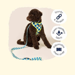 Estetika paduan desain bergaya Modern dengan fungsi membuat hewan peliharaan Anda berdiri mewah <span class=keywords><strong>Harness</strong></span> hewan peliharaan Oem harnes anjing desain 2025 - Product Image 3