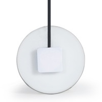 Projecteurs LED PAR 56 en plastique PC étanches IP68 avec télécommande pour jardin et aménagement paysager