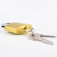 Cadenas Rarlux robuste populaire à anse courte en fer laqué avec 3 clés, certifié ISO9001