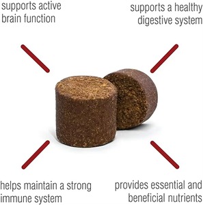 OEM/ODM Soft <strong>Chew</strong> Dog Multivitamin with Glucosamine Chondroitin Vitamin and Cranberry Powder for Skin and Hip Joint Health - Product Image 3