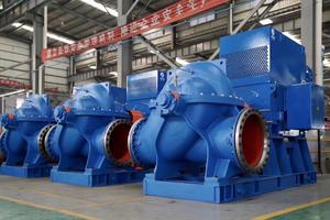 Bomba Centrífuga Horizontal de Gran Caudal, Bomba de Doble Succión para Circulación Industrial y Riego - Product Image 6