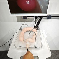 Modèle de formation en coloscopie scientifique médicale, simulation souple de l'organisme du côlon pour modèle d'enseignement