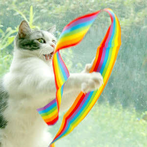 Jouets interactifs de luxe écologiques et éducatifs de haute qualité pour chat, avec canne à pêche, plumes, lin, clochette et ruban coloré - Product Image 3