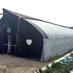 סין מפעל מחיר חקלאי מנהרת פטריות גידול חממה למכירה - Product Image 6