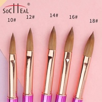 Insert inversé couvercle conception dégradé arc-en-ciel métal poignée 100% pur Kolinsky acrylique brosse à ongles plat et serti 3D brosse taille #2 ~ #10