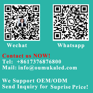 DC12V 24V Ultra Thin FCOB <strong>LED</strong> Light <strong>Power</strong> Supply 60W 100W <strong>150W</strong> 200W 300W Transformer <strong>Adapter</strong> AC190V to 240V Driver COB <strong>LED</strong> <strong>Strip</strong> - Product Image 6